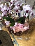 ダニエル君遠藤先生より40日の花.jpg